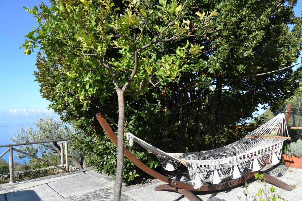 Borgo Rosso Di Sera - Resort Country Chic San Lucido Exterior foto